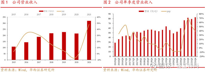 太陽紙業 業績穩健增長，林漿紙一體化戰略深化未來可期