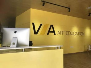 VA藝術留學 為川美學子量身定制的寰亞留學方案
